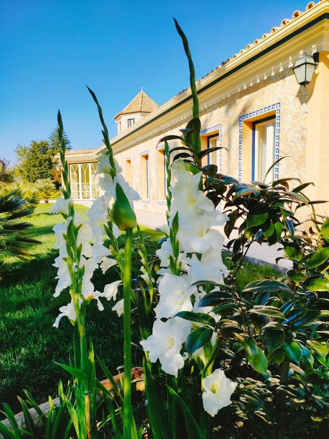 Quinta Do Bamby Leiria Exterior foto